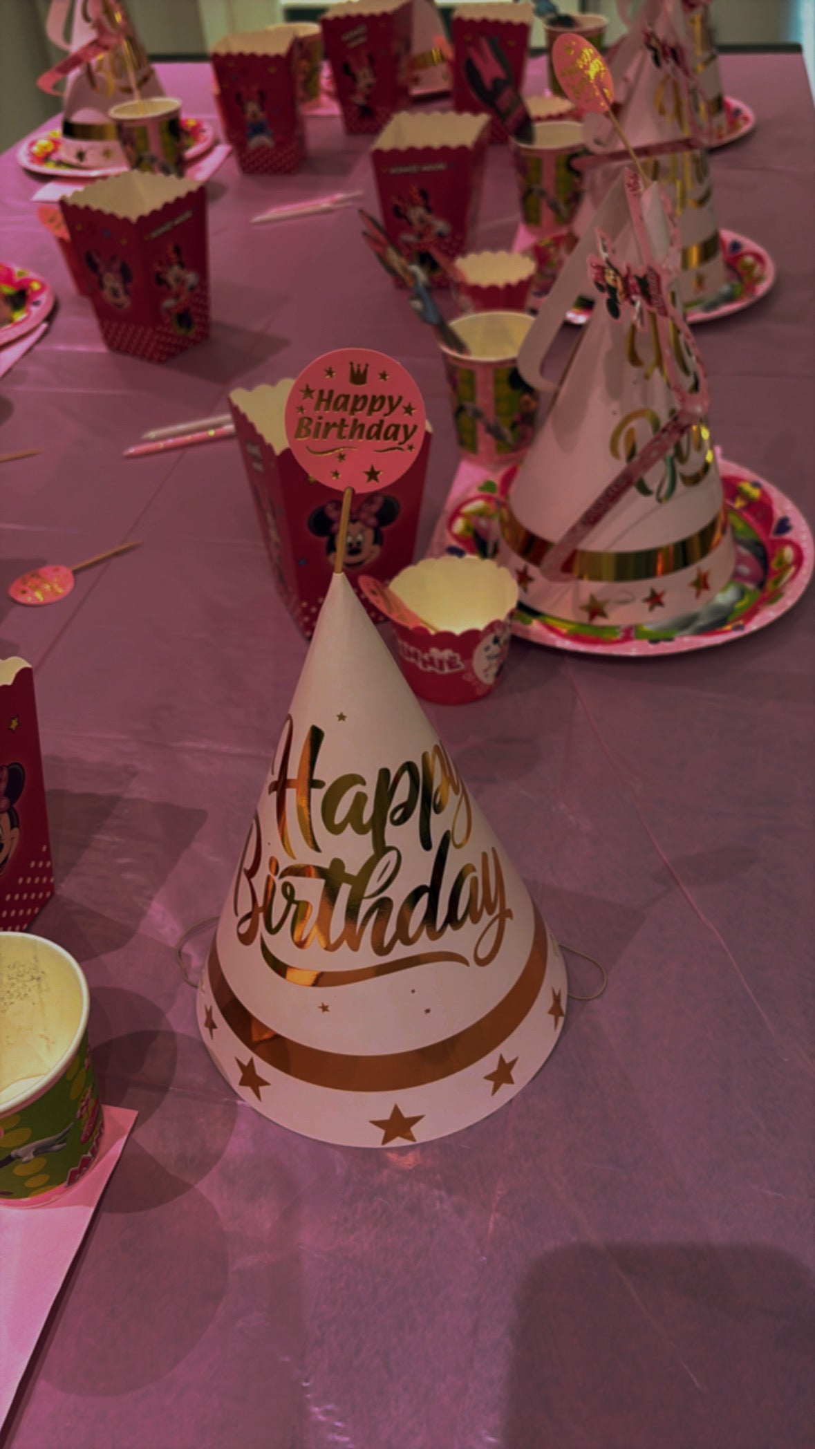 Minnie Mouse Temalı Doğum Günü Parti Seti